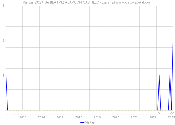 Visitas 2024 de BEATRIZ ALARCON CASTILLO (España) 