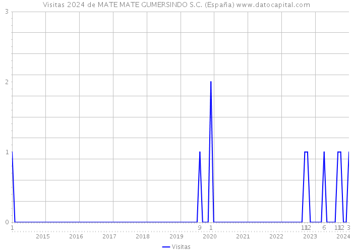 Visitas 2024 de MATE MATE GUMERSINDO S.C. (España) 