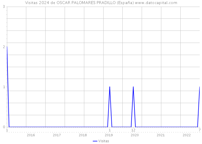 Visitas 2024 de OSCAR PALOMARES PRADILLO (España) 
