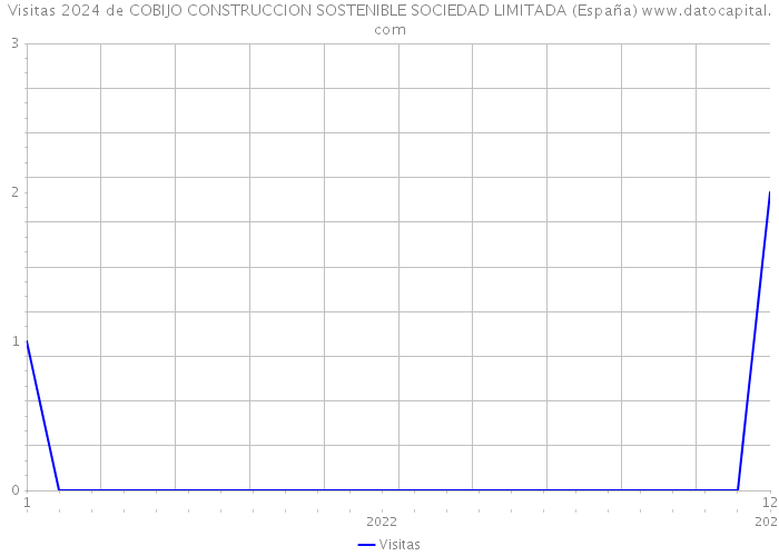 Visitas 2024 de COBIJO CONSTRUCCION SOSTENIBLE SOCIEDAD LIMITADA (España) 