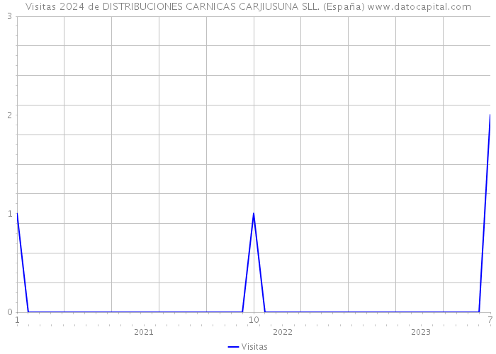 Visitas 2024 de DISTRIBUCIONES CARNICAS CARJIUSUNA SLL. (España) 