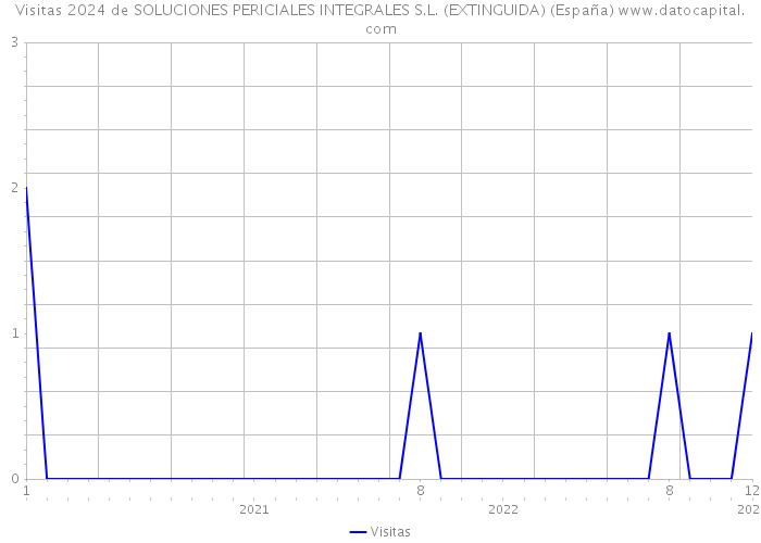 Visitas 2024 de SOLUCIONES PERICIALES INTEGRALES S.L. (EXTINGUIDA) (España) 