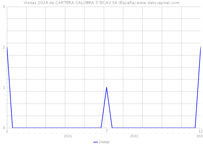Visitas 2024 de CARTERA CALOBRA 3 SICAV SA (España) 