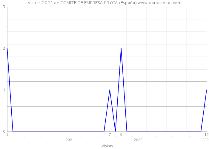Visitas 2024 de COMITE DE EMPRESA PRYCA (España) 
