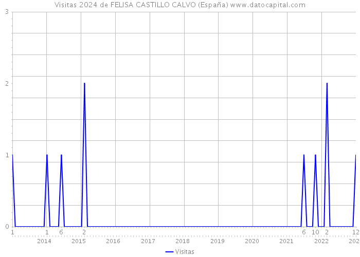 Visitas 2024 de FELISA CASTILLO CALVO (España) 