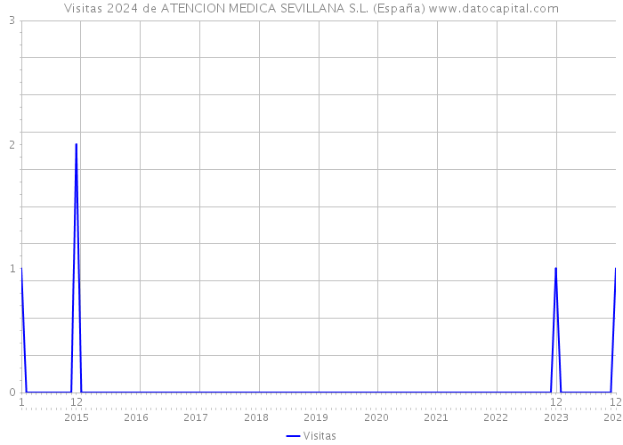 Visitas 2024 de ATENCION MEDICA SEVILLANA S.L. (España) 