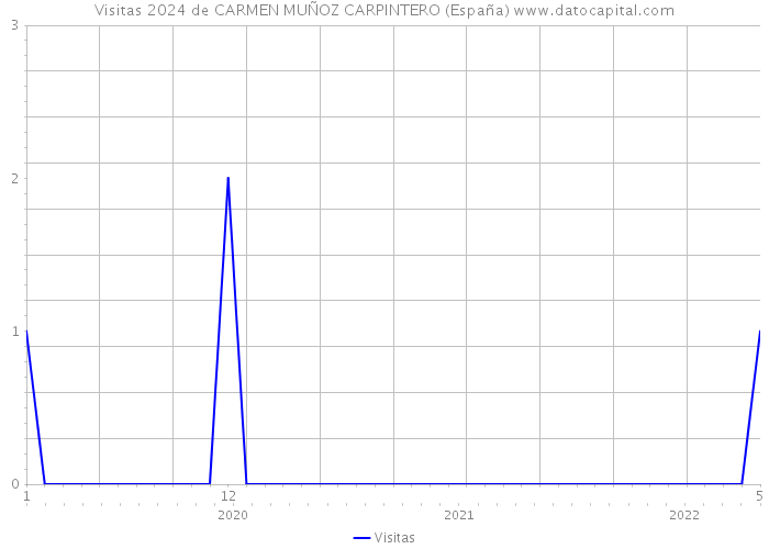 Visitas 2024 de CARMEN MUÑOZ CARPINTERO (España) 