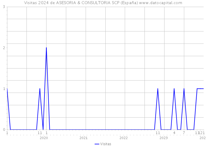 Visitas 2024 de ASESORIA & CONSULTORIA SCP (España) 