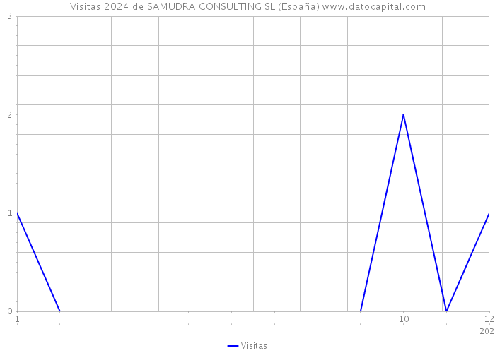Visitas 2024 de SAMUDRA CONSULTING SL (España) 