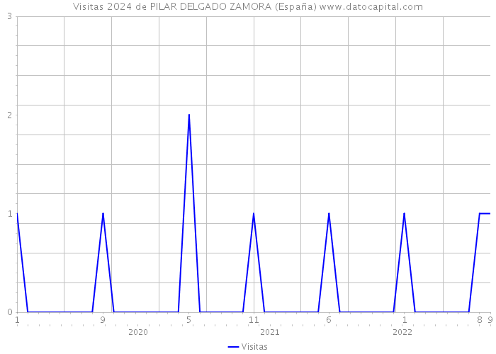 Visitas 2024 de PILAR DELGADO ZAMORA (España) 