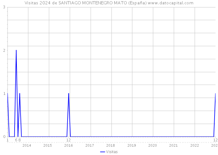 Visitas 2024 de SANTIAGO MONTENEGRO MATO (España) 