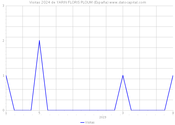Visitas 2024 de YARIN FLORIS PLOUM (España) 