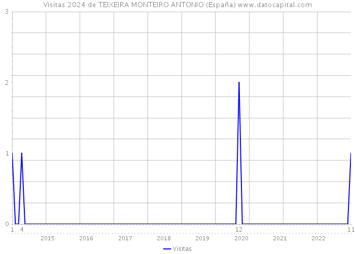 Visitas 2024 de TEIXEIRA MONTEIRO ANTONIO (España) 