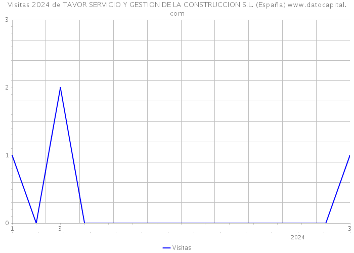Visitas 2024 de TAVOR SERVICIO Y GESTION DE LA CONSTRUCCION S.L. (España) 