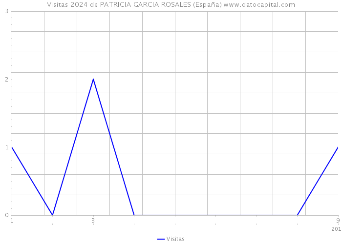 Visitas 2024 de PATRICIA GARCIA ROSALES (España) 