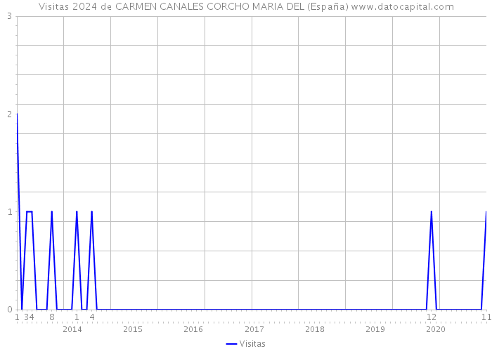 Visitas 2024 de CARMEN CANALES CORCHO MARIA DEL (España) 