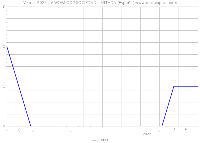 Visitas 2024 de WOWLOOP SOCIEDAD LIMITADA (España) 