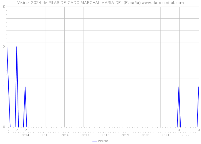 Visitas 2024 de PILAR DELGADO MARCHAL MARIA DEL (España) 