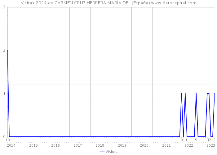 Visitas 2024 de CARMEN CRUZ HERRERA MARIA DEL (España) 