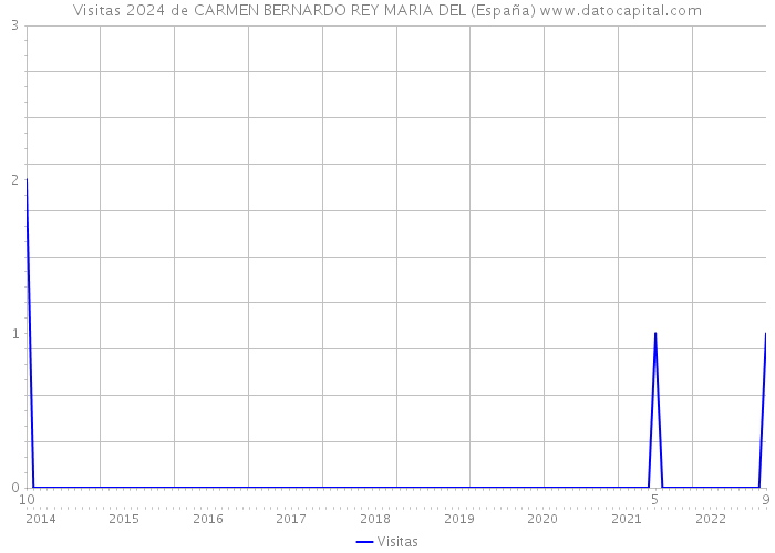 Visitas 2024 de CARMEN BERNARDO REY MARIA DEL (España) 