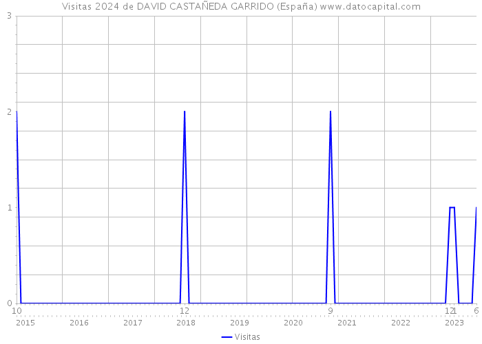 Visitas 2024 de DAVID CASTAÑEDA GARRIDO (España) 