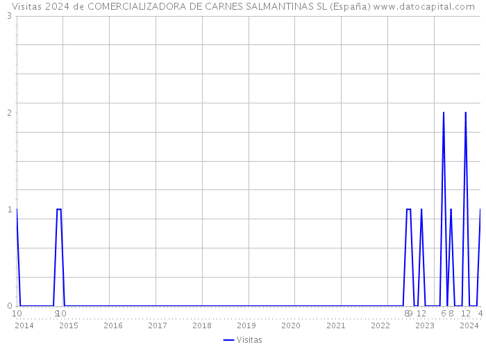 Visitas 2024 de COMERCIALIZADORA DE CARNES SALMANTINAS SL (España) 