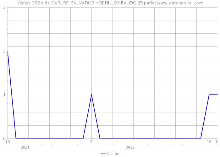 Visitas 2024 de CARLOS-SALVADOR HORNILLOS BAUDO (España) 