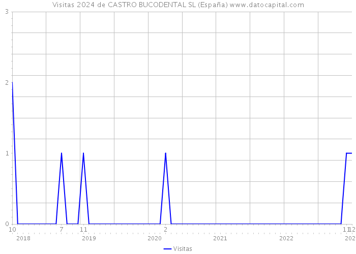 Visitas 2024 de CASTRO BUCODENTAL SL (España) 