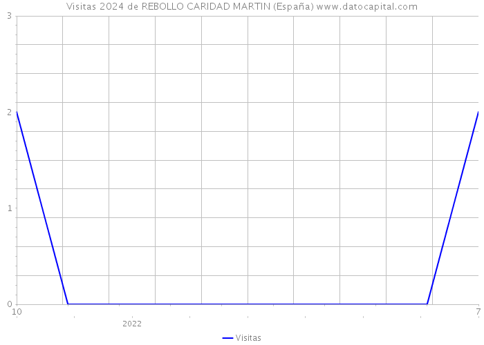 Visitas 2024 de REBOLLO CARIDAD MARTIN (España) 