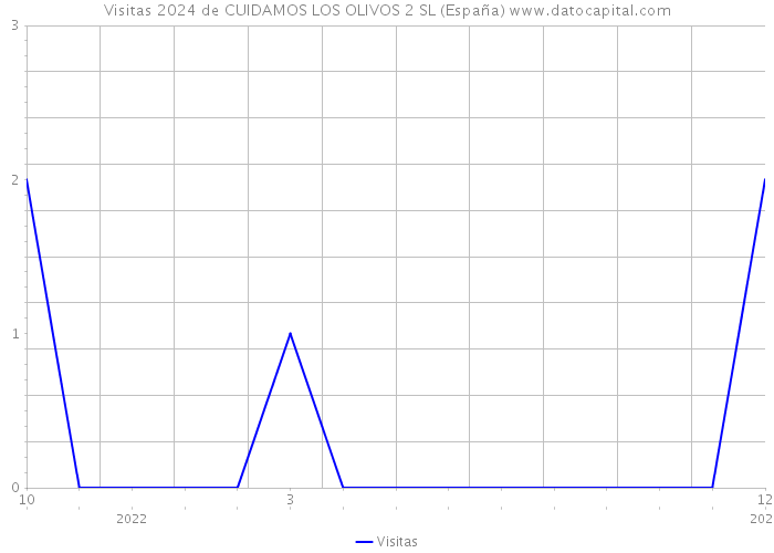 Visitas 2024 de CUIDAMOS LOS OLIVOS 2 SL (España) 