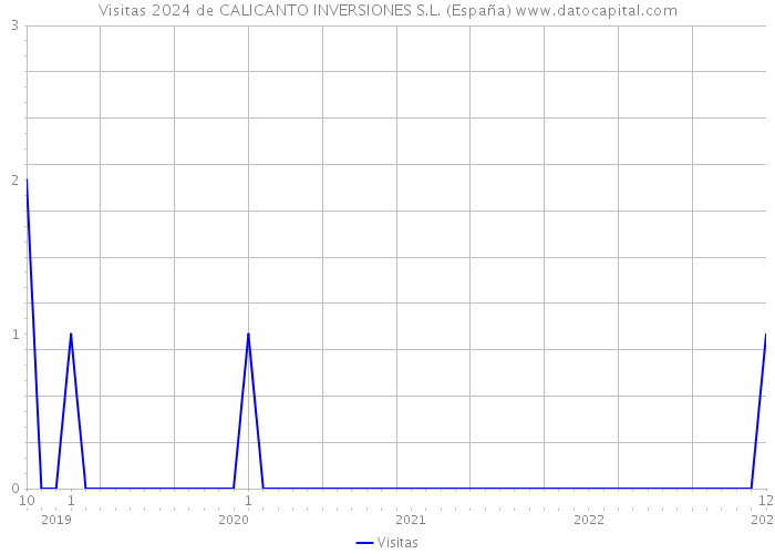 Visitas 2024 de CALICANTO INVERSIONES S.L. (España) 