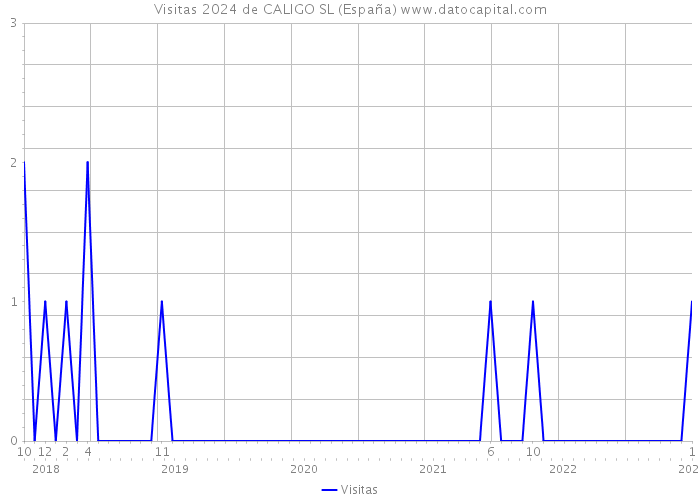 Visitas 2024 de CALIGO SL (España) 