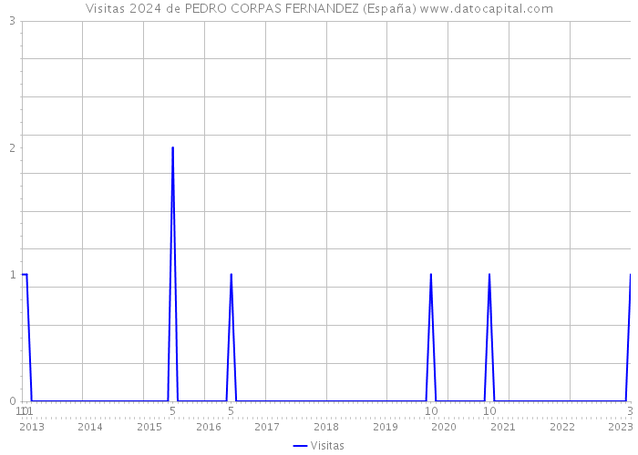 Visitas 2024 de PEDRO CORPAS FERNANDEZ (España) 
