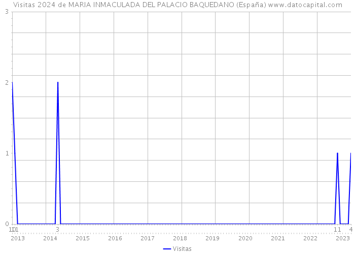 Visitas 2024 de MARIA INMACULADA DEL PALACIO BAQUEDANO (España) 