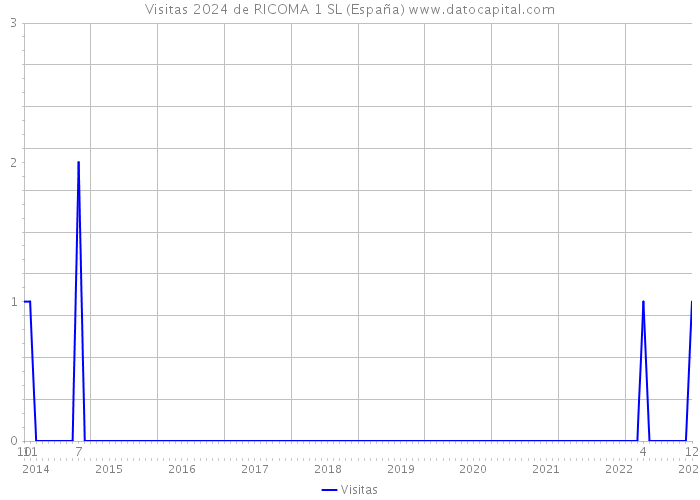 Visitas 2024 de RICOMA 1 SL (España) 