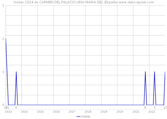 Visitas 2024 de CARMEN DEL PALACIO URIA MARIA DEL (España) 
