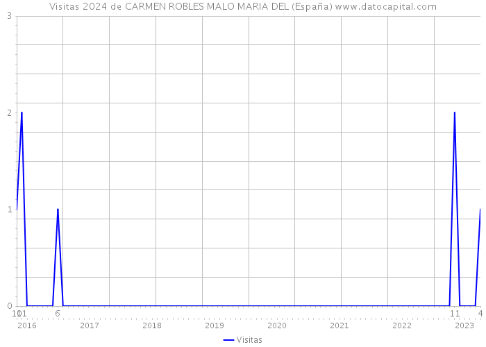 Visitas 2024 de CARMEN ROBLES MALO MARIA DEL (España) 