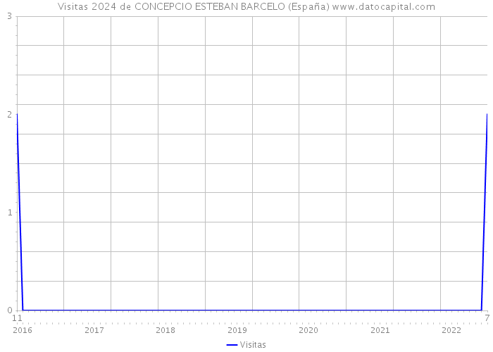 Visitas 2024 de CONCEPCIO ESTEBAN BARCELO (España) 
