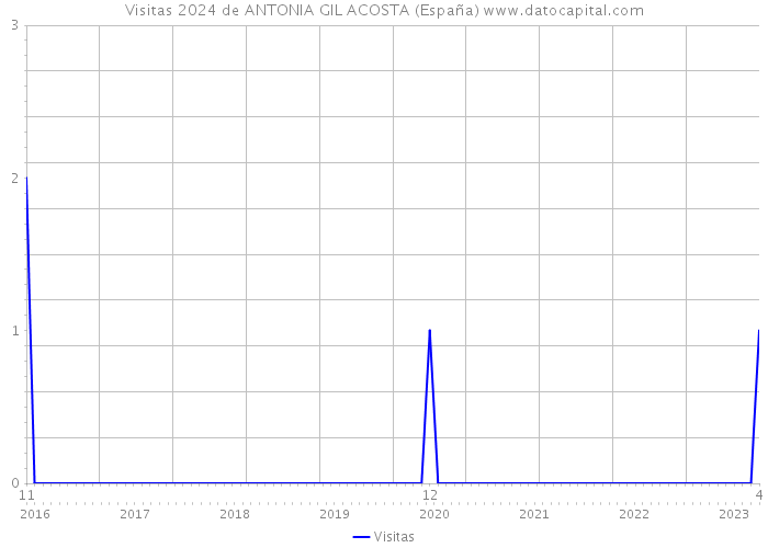 Visitas 2024 de ANTONIA GIL ACOSTA (España) 