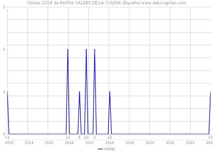 Visitas 2024 de MARIA VALDES DE LA COLINA (España) 