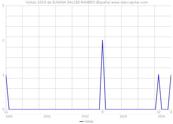 Visitas 2024 de SUSANA SALCES RANERO (España) 