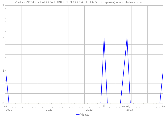 Visitas 2024 de LABORATORIO CLINICO CASTILLA SLP (España) 
