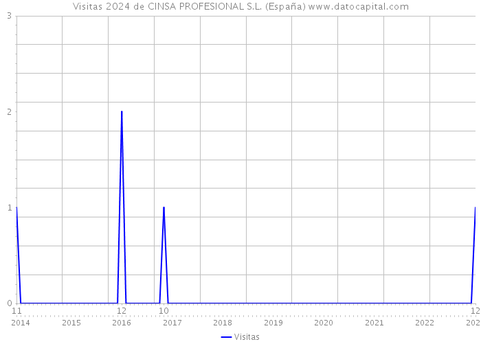 Visitas 2024 de CINSA PROFESIONAL S.L. (España) 
