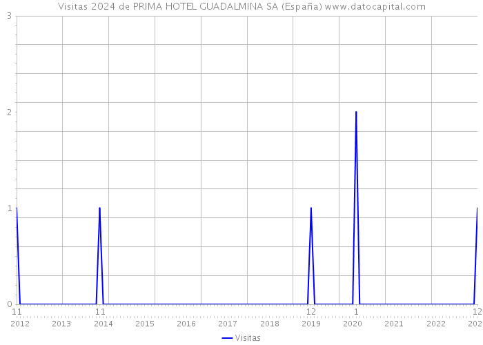 Visitas 2024 de PRIMA HOTEL GUADALMINA SA (España) 