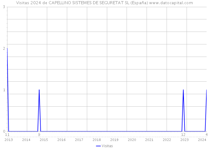 Visitas 2024 de CAPELLINO SISTEMES DE SEGURETAT SL (España) 