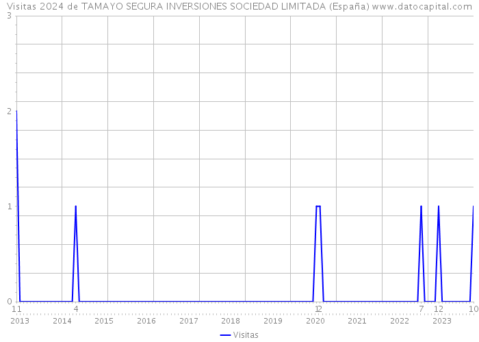 Visitas 2024 de TAMAYO SEGURA INVERSIONES SOCIEDAD LIMITADA (España) 