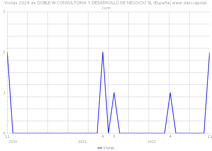 Visitas 2024 de DOBLE W CONSULTORIA Y DESARROLLO DE NEGOCIO SL (España) 