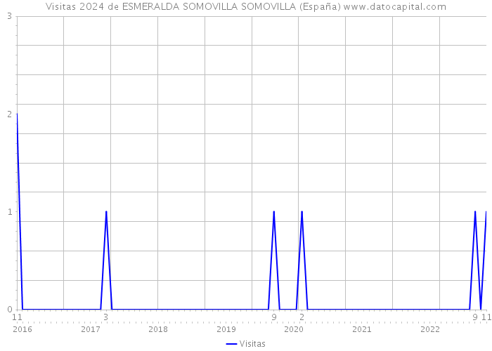 Visitas 2024 de ESMERALDA SOMOVILLA SOMOVILLA (España) 
