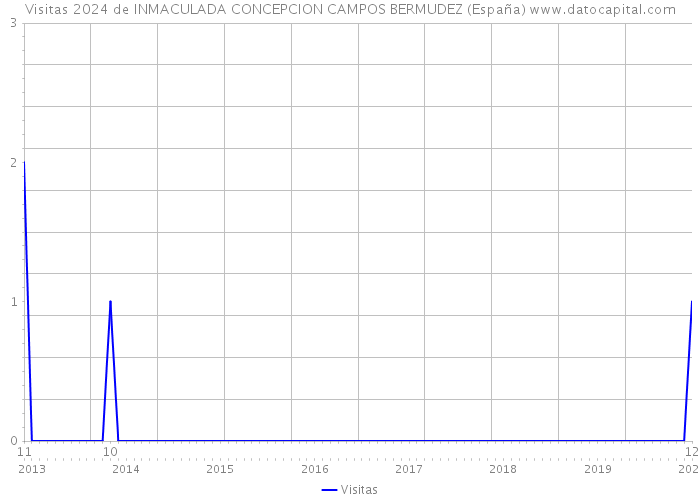 Visitas 2024 de INMACULADA CONCEPCION CAMPOS BERMUDEZ (España) 
