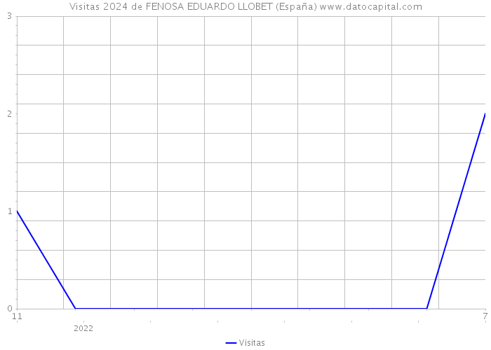 Visitas 2024 de FENOSA EDUARDO LLOBET (España) 